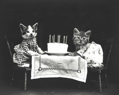 cat kitten kitty art print Harry Whittier Frees 8×10 vintage photo picture #3