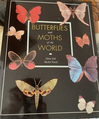 Butterflies of the World by Michel Viard and Alain Eid (1997, Hardcover) Large
