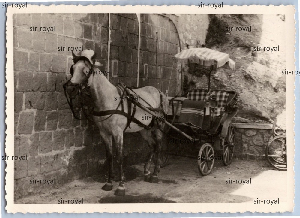 Capri 1950s – Horse Carriage – Italy – Photo 10x7cm