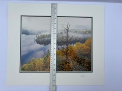 Jay Steinke Hungry Jake Lake Fall Leaves Minnesota Signed Photo Matted 19×16