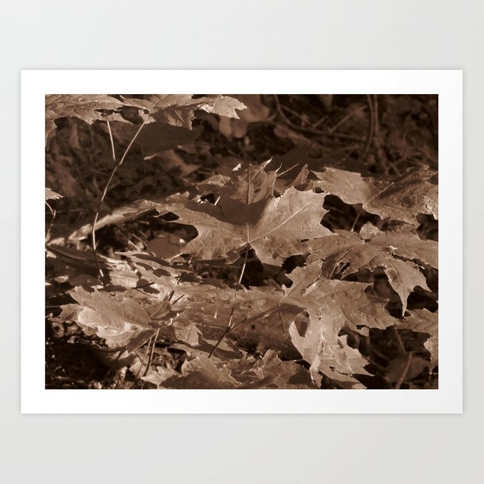 art print 21″ x 17″ Leaves en Sepia photography artistic woods parks botanical