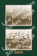 36×55”Claypool Ducks Wild Acres Reservior Print (Sepia Version)