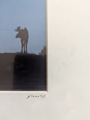 Set of 4 Wildlife/Nature Photographs by Jim Stamates, 4″x6″, Matted to 8″x10″