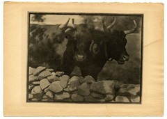 Gertrude Käsebier, “My Neighbors” April 1905 Original Camera Work X Photogravure
