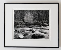 “Merced River” Original JOHN SEXTON Signed Photograph 11×14/ 16×20 Framed