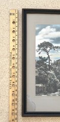 Lg VTG J.M. Garrison Hand Tinted Oil Color Photo Torrey Pines 12.5”x23.5” VGC