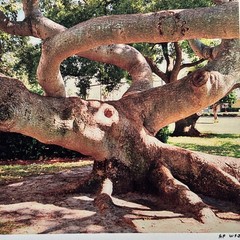 Original Photograph On Matte Paper & Matted To A 12” x 16” And Ready To Frame