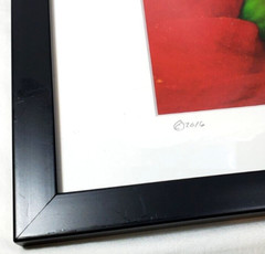 Inside the Flower Brilliant Red Photo Signed an Dated Matted an Framed 12″x15″