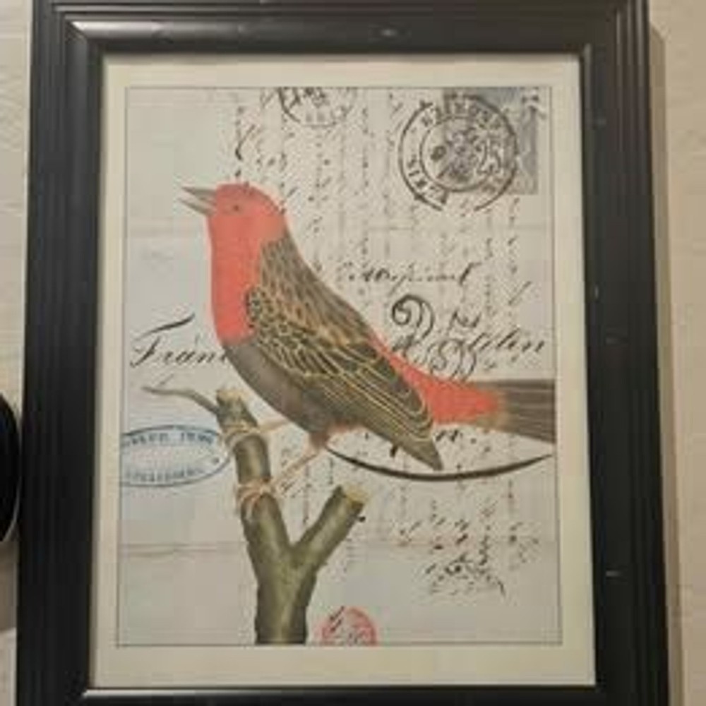 Set of 2 Framed Bird Pictures Prints 13″ X 15″