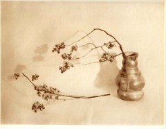 Pictorial Artistry (Adolf Fassbender) Signed & Numbered First Edition 40 photos