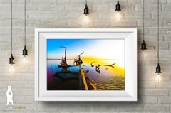 Driftwood Beach Décor Art Prints – Big Talbot Island, Boneyard Beach, Florida