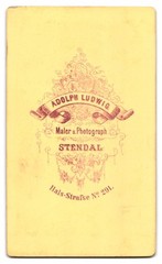 Photograph Adolph Ludwig, Stendal, Halsstr. 291, man in suit with bow