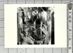 Lee Friedlander (b. 1934) Art Announcement Card February 2000 – Stems
