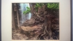Jay Anderson Photograph Minnesota Gooseberry Falls Framed Art Forest Waterfall