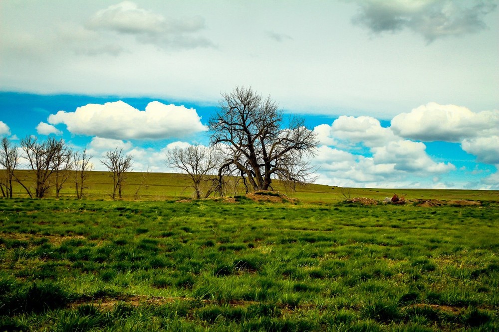 Art 30×45 Photograph