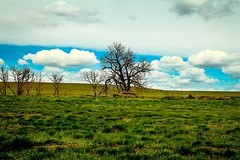 Art 30×45 Photograph