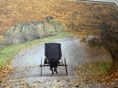 Wade Wilcox Signed Photography Photo Amish Buggy Autumn Scene Country Americana