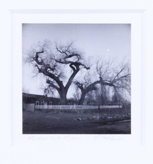 Ray Belcher Black and White Photograph Museum and Moon