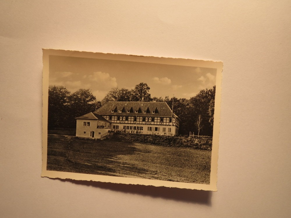 Eels – House of Youth / Photo