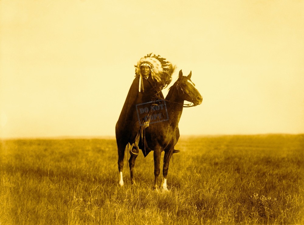Edward Curtis The Prairie Chief Giclee Fine Art Print Open Edition Repro