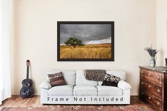 Badlands Photography Print | Lone Tree Picture | South Dakota Landscape Wall Art