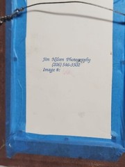 Jim Nilsen Photography #66 Print Queridore Blue Chair..?? Cool Picture In 8×10