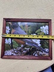 Set of 2 Framed Bird Prints Bluebird Robin Nature Wall Art Rustic Frame
