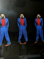Fashion Photographs William Wegman 3 Weims picture custom framed/matted