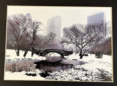 Lot Of 4 Matted Photo Prints Of NYC New York City Central Park – 8×10