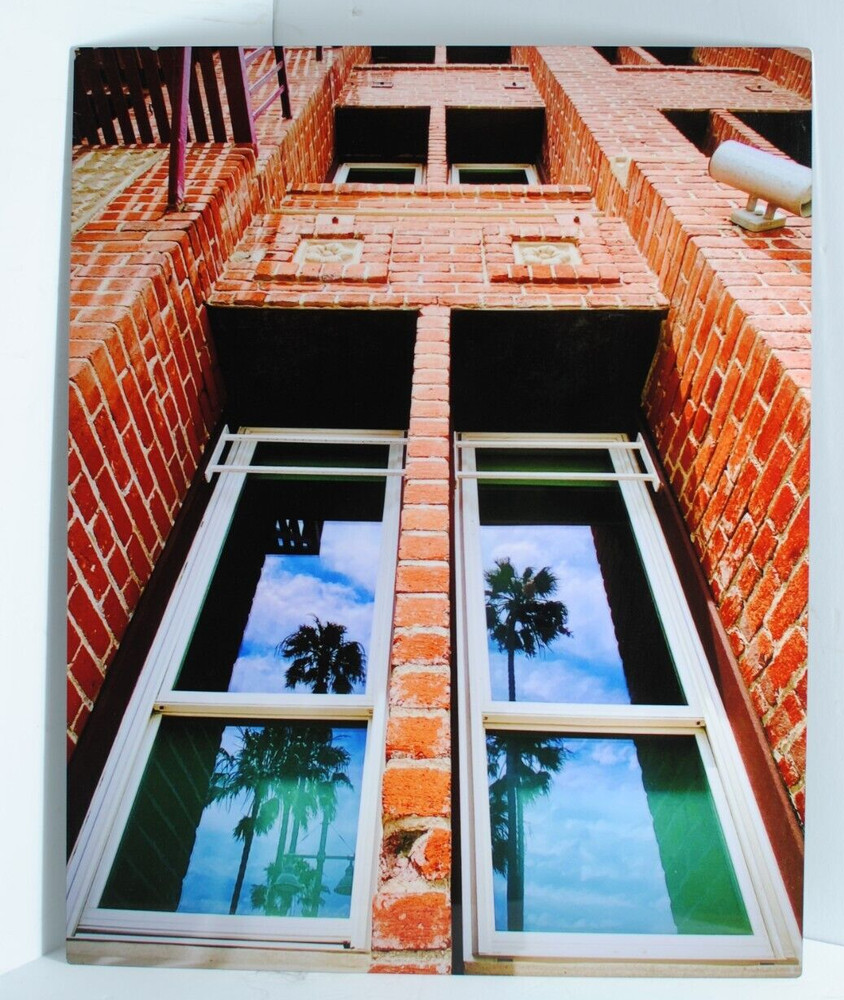 Artistic Brick Building Metal Print Professional Photograph/Palm Trees 16″ x 20″