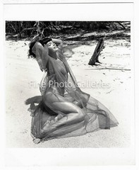 1954 BETTIE PAGE Original Female Nude BUNNY YEAGER Miami FL Key Biscayne Photo