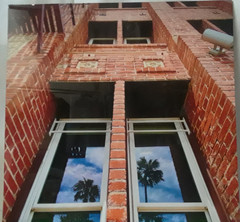 Artistic Brick Building Metal Print Professional Photograph/Palm Trees 16″ x 20″