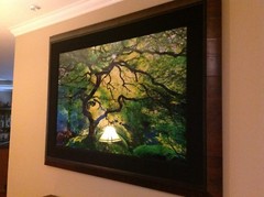 Peter Lik Inner Peace ARTIST PROOF ONLY 45 ever created PREM FRAMING SOLD OUT