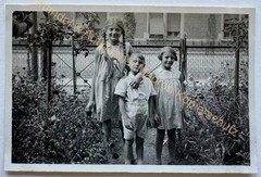orig. Photo Eels around 1935 Children Boy Girl