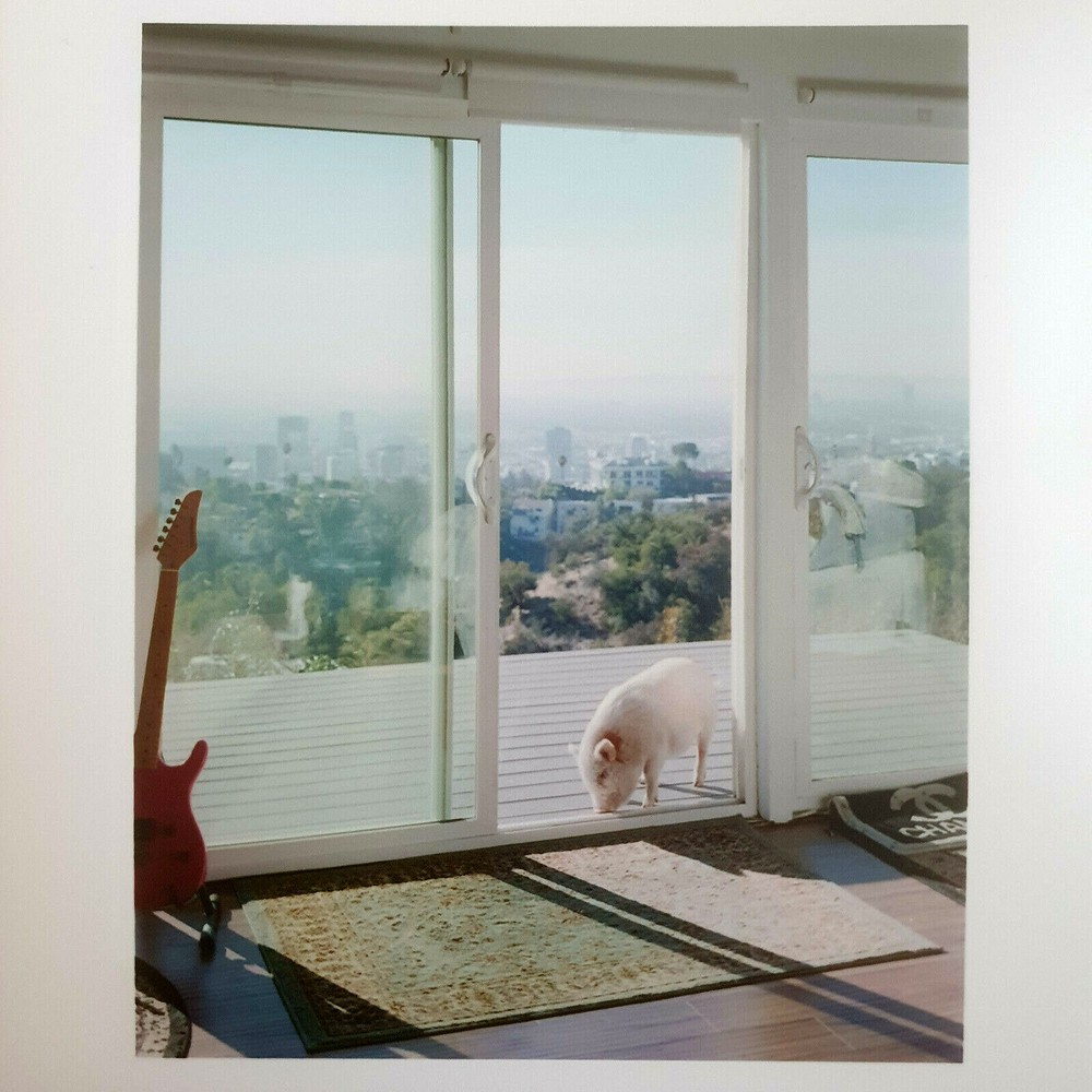 ALEC SOTH – SIGNED PHOTO – MAGNUM SQUARE PRINT LIMITED EDITION