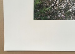 STEPHEN SHORE s/n photograph (2009) ed of 40 – Two x Two Portfolio amfAR