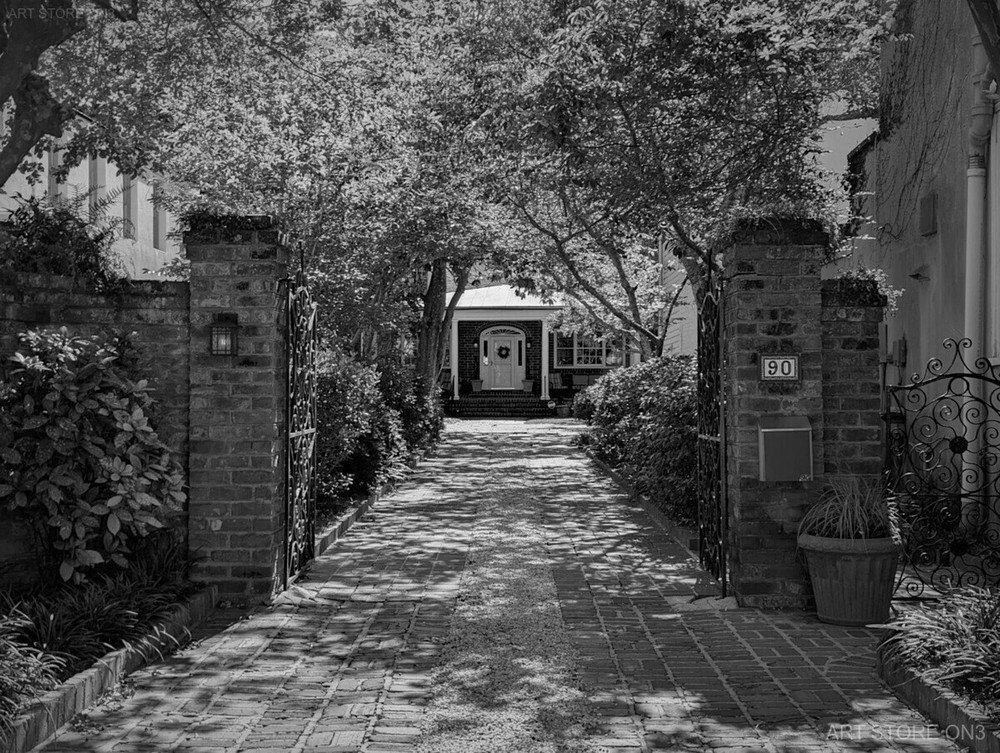 Shaded Garden Driveway – Photography Print