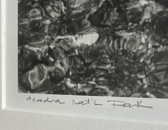 Original Fine Art Photograph ACADIA Nat’l Park MAINE Abstract B&W Signed Framed