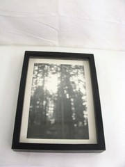 California Redwoods Triptic B&W Original Handmade Art Photographs Framed