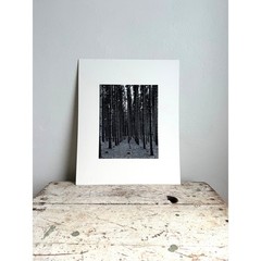 Black and White Pine Forest Photography Print Matted Wall Art 13×16 Landscape