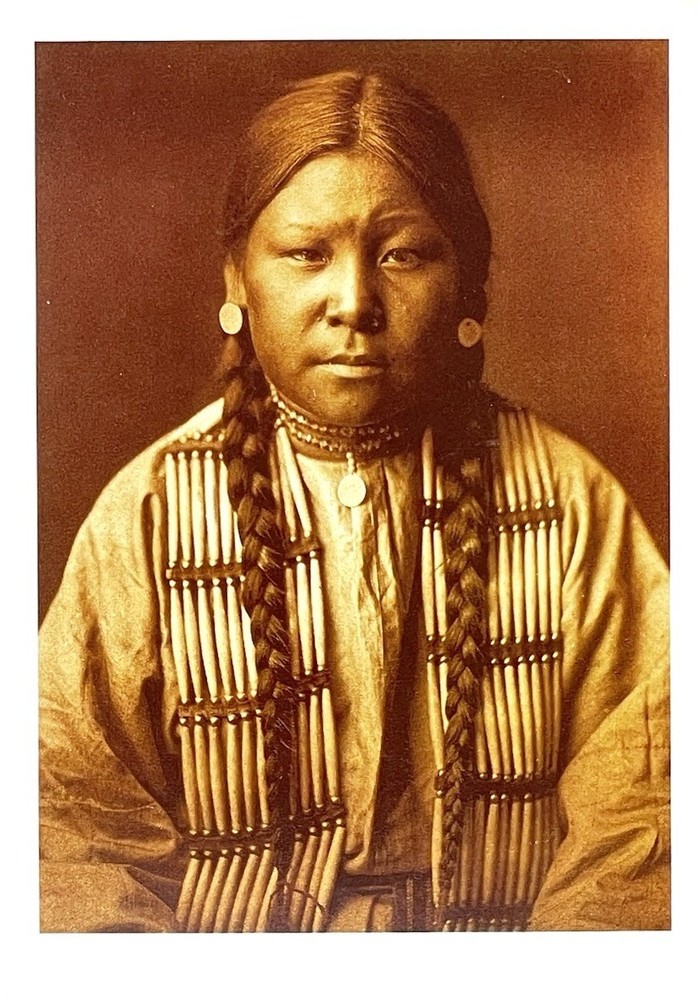 Cheyenne Girl 1905 Photograph by Edward S. Curtis (1868-1952) Art Print Card