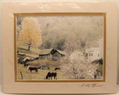 NEW Barry Gamow Cows & Barns Nature Art Photograph 8×10″ Matted Unframed Signed