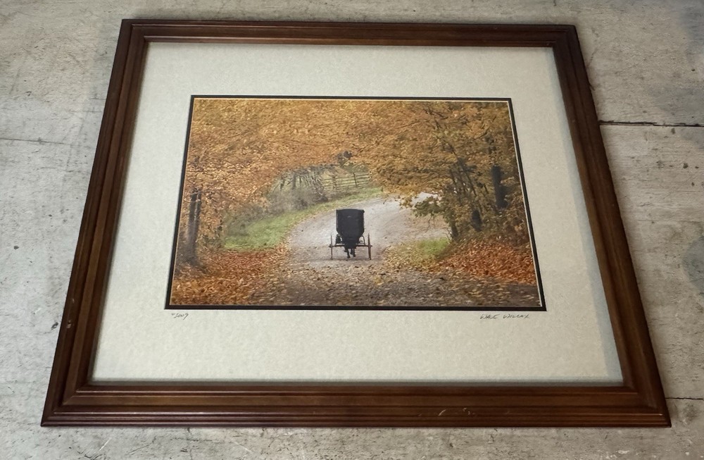 Wade Wilcox Signed Photography Photo Amish Buggy Autumn Scene Country Americana