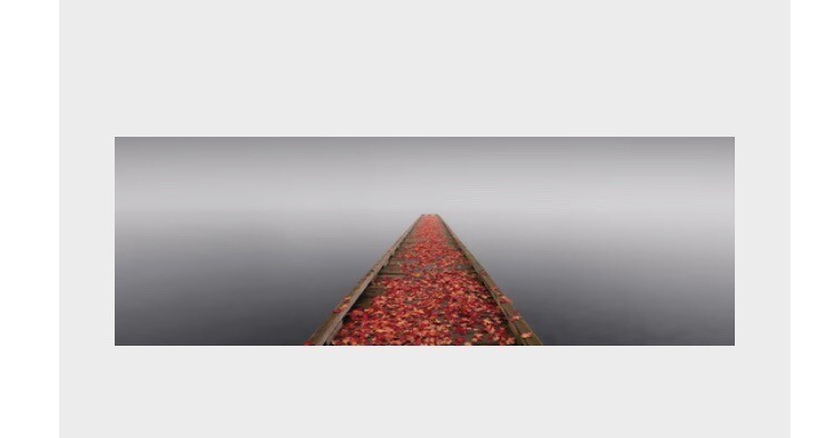 NEW Peter Lik Secret Morning Photograph Acrylic Mount Frame 1m Autumn leaves COA