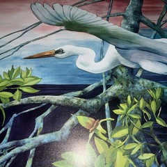 Egret In Flight: Fine Art Print “ Quiet Sunset” Vernon L Good 24.5 X 35” Overall