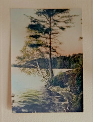 DAVID DAVIDSON 4 Hand Tinted Photos SIGNED 20’s (3×4.5 & 3×6.5) Named Higgins