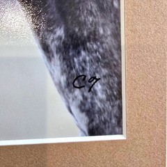 Clay Thurston Signed Photo Print 8×6″ Two Horses Noses Touching 10×8″ Frame