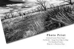 Southwest Photography Print – Mesa Verde Colorado Landscape Black and White