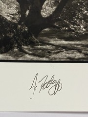 Jim Fitzgerald Untitled Photo Signed Photograph Carbon Transfer