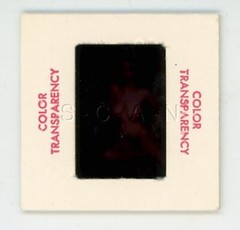 Org Nude Camera Club 60s 35mm Slide / Negative- Super Endowed Woman- Brunette 16